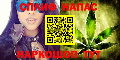 мяу мяу мука Гулькевичи
