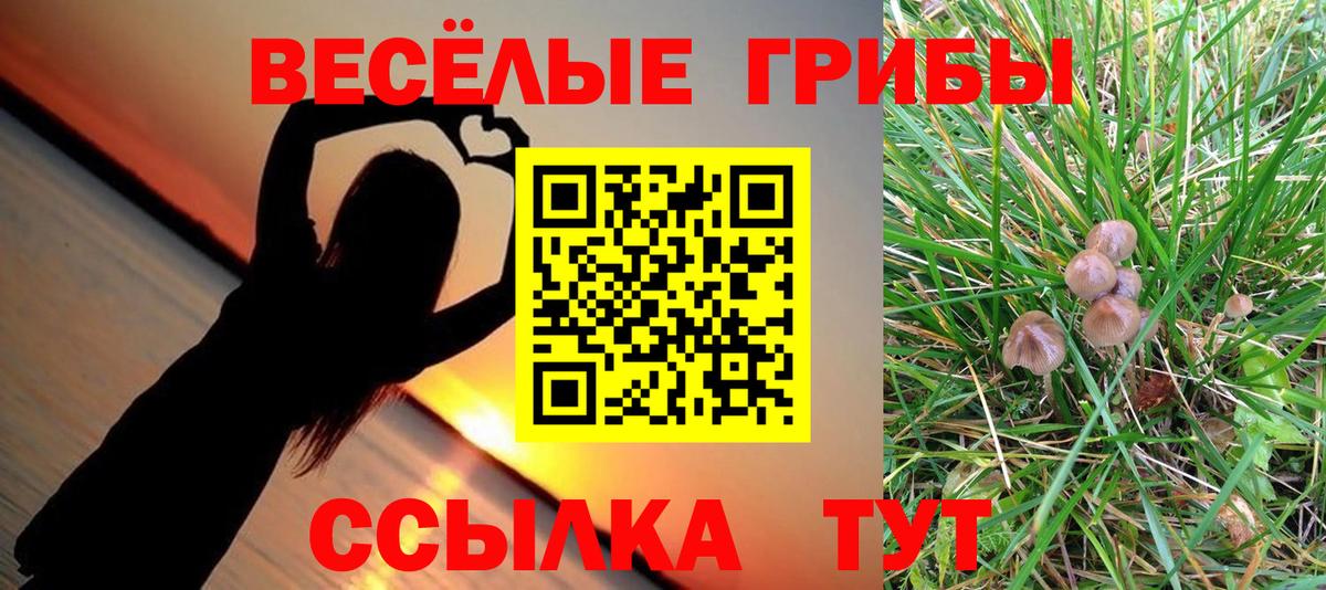 Галлюциногенные грибы Psilocybine cubensis  Вход с VPN  где купить наркоту  Сергиев Посад 